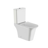 Floor Mounted Toilet - B2313A