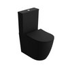 Nautilius Black Close Coupled Toilet