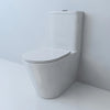 Perseus Floor Mounted Toilet - B2303A-1